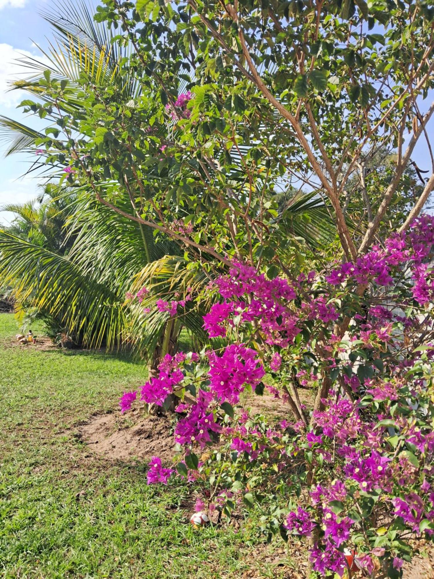 Pouso Zen Araruama Exterior foto